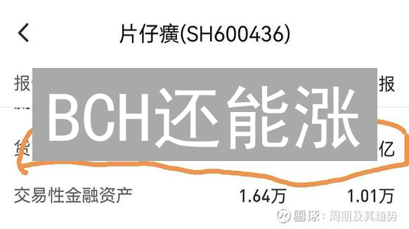 BCH还能涨？深度剖析比特现金的投资前景！