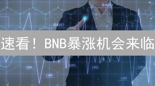 速看！BNB暴涨机会来临？揭秘影响价格的八大因素！