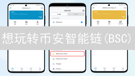 想玩转币安智能链(BSC)？3分钟教你搞定交易！新手必看指南