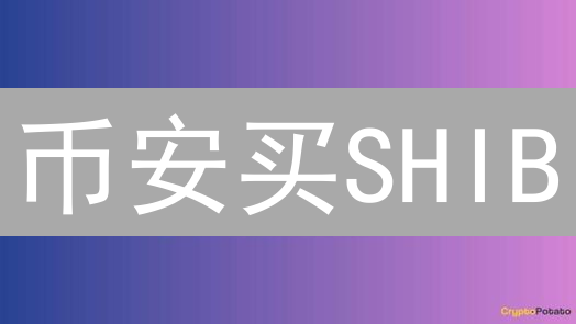 币安买SHIB：暴富or爆仓？九大风险速览！